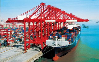 內貿海運物流中心 提升國內貨物運輸代理效率的核心樞紐